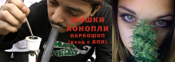 дурь Вяземский