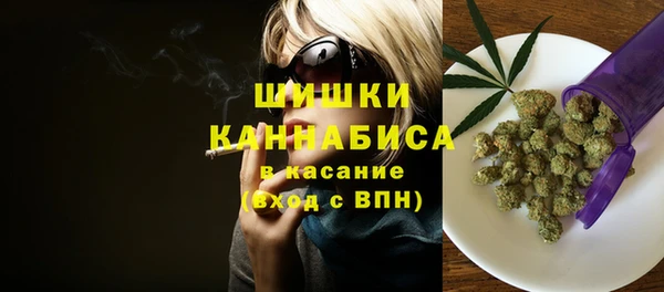 дурь Вяземский