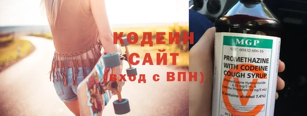 дурь Вяземский