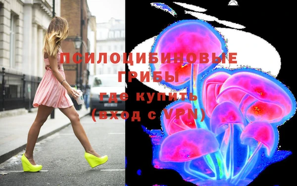 дурь Вяземский