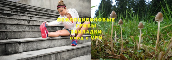 дурь Вяземский