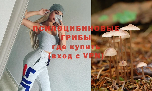 амф Вязьма