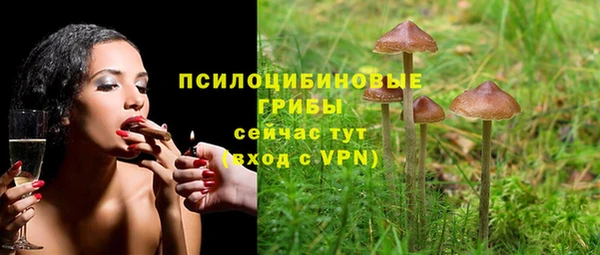 дурь Вяземский