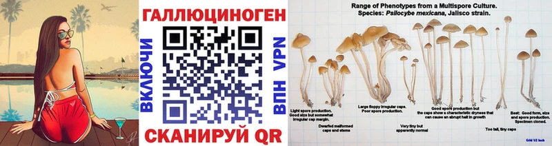 Купить  Клинцы  Псилоцибиновые грибы мухоморы 